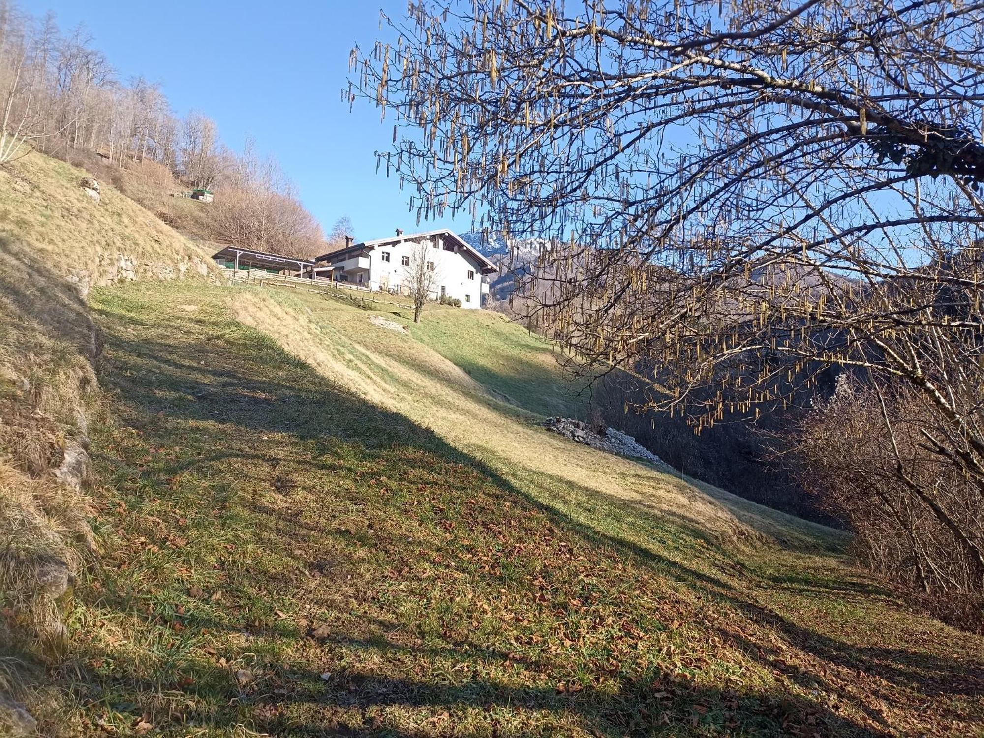 Agriturismo Cascina Cornella Cremeno Exterior photo